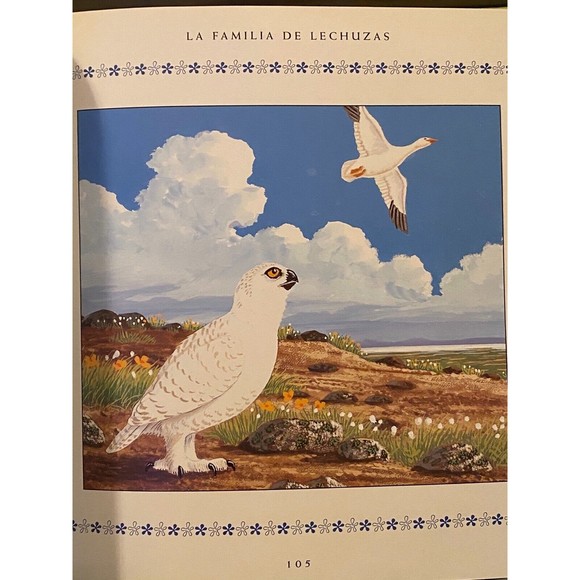 El Tesoro De Los Cuentos De Animales Child's Spanish Language Animal Fables - Picture 5 of 7